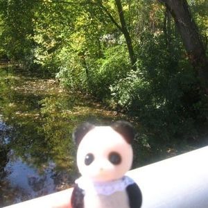 Meet your Posher, Melanie